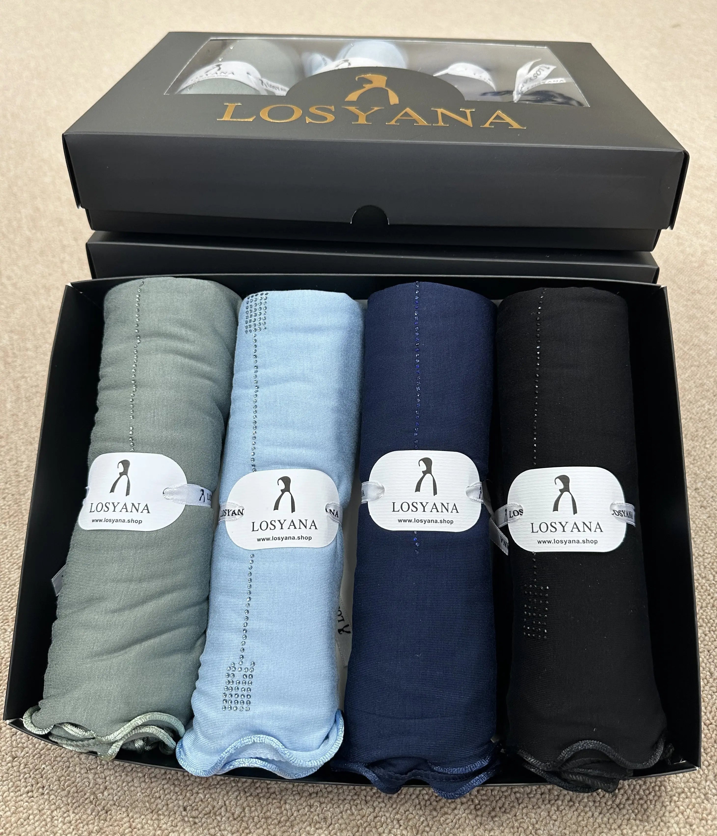 Box 1 : Ocean Blue Losyana
