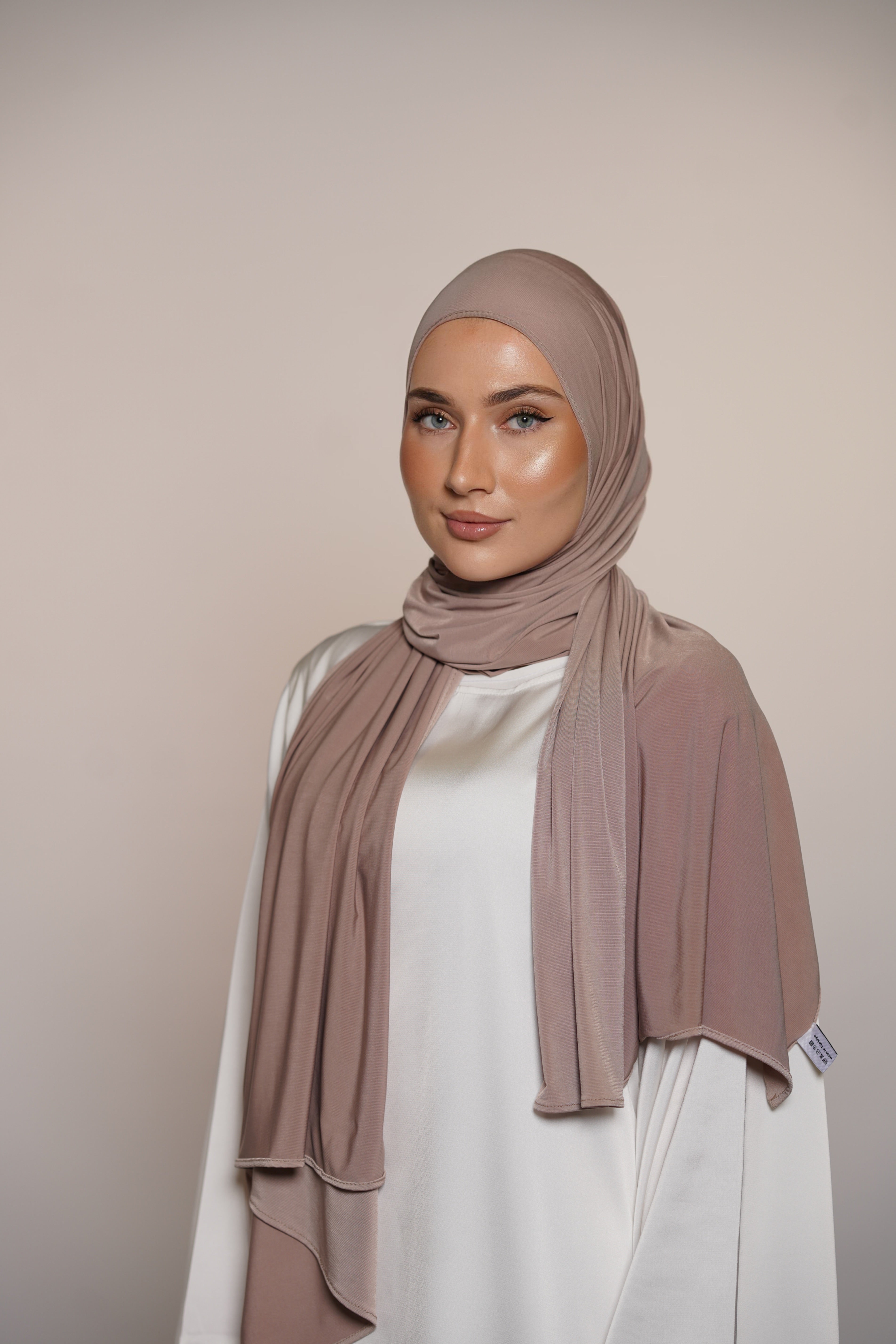 Premium Jersey - taupe