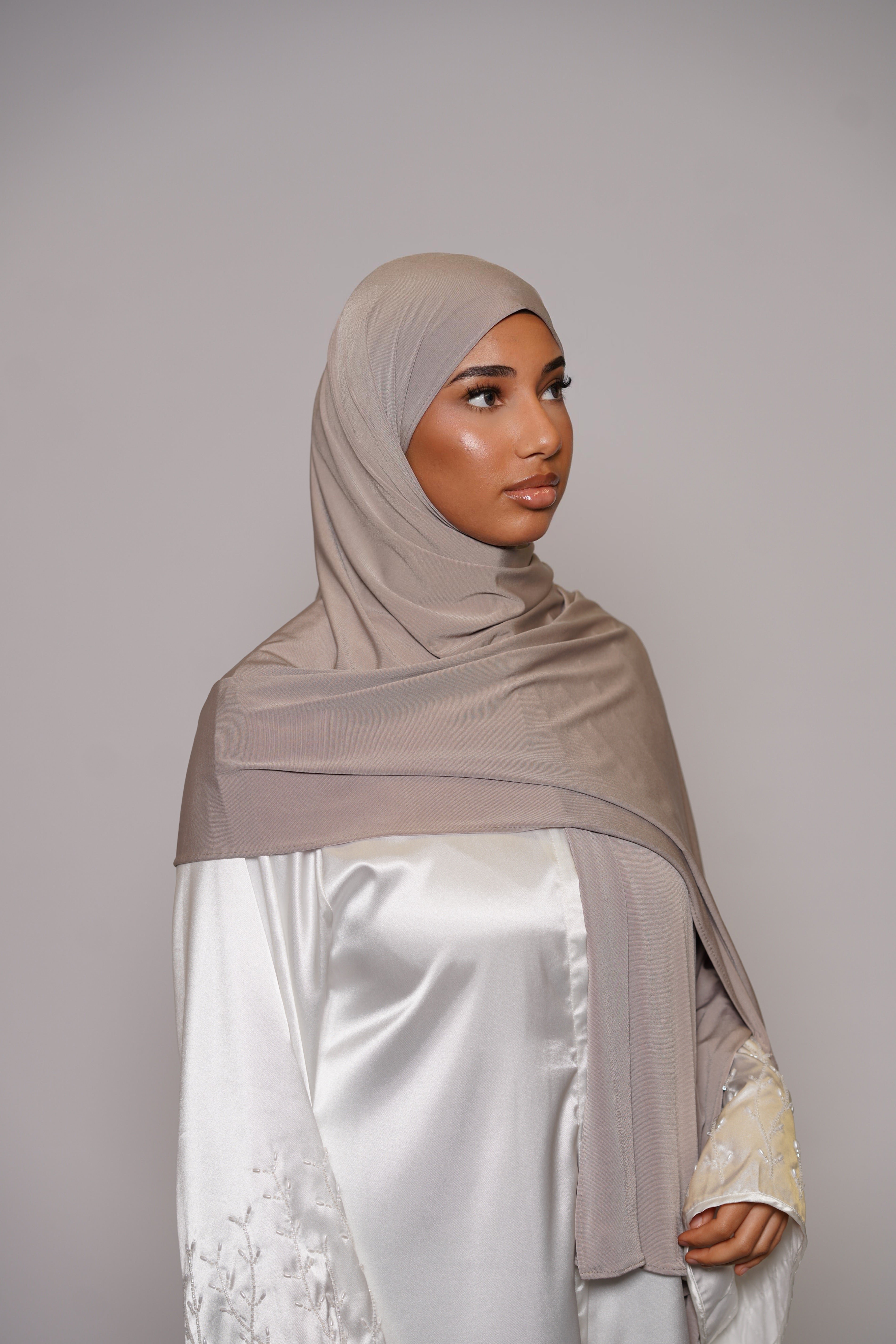Satin Premium Jersey - ashy beige